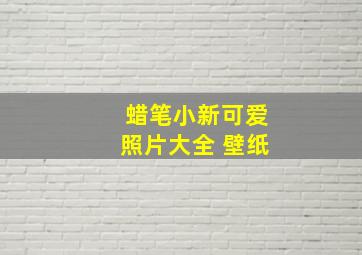 蜡笔小新可爱照片大全 壁纸